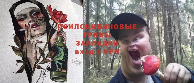 MEGA вход  Северск  Галлюциногенные грибы Magic Shrooms 